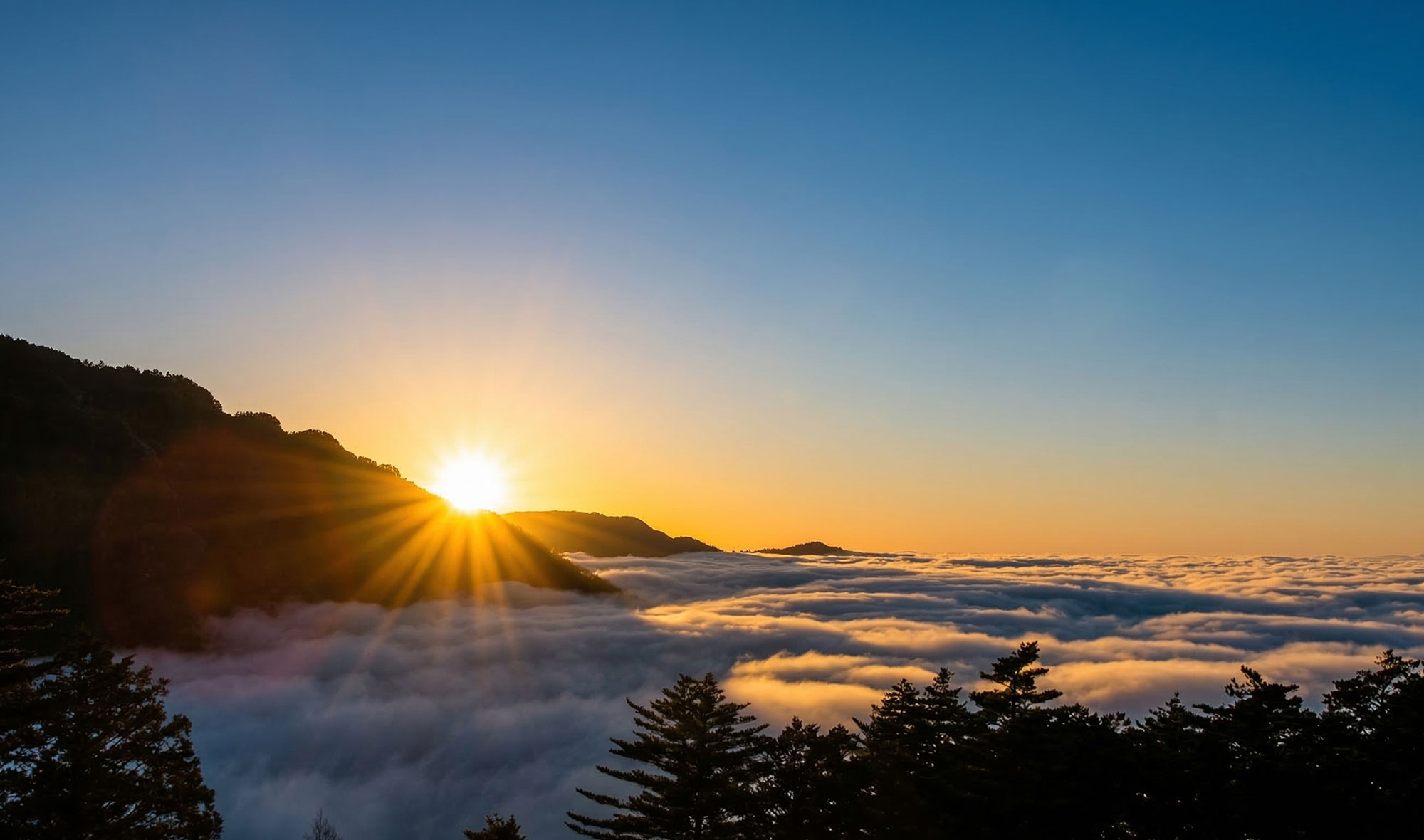 向陽國家森林遊樂區-雲海