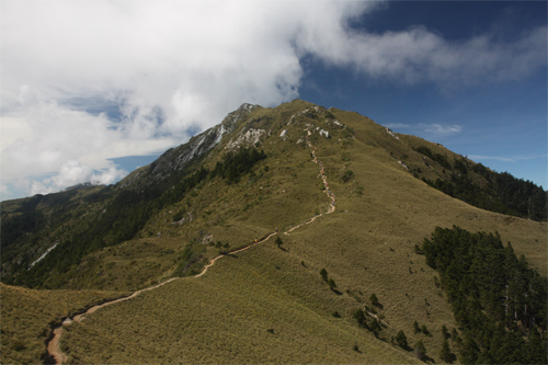 連綿不斷的草坡
