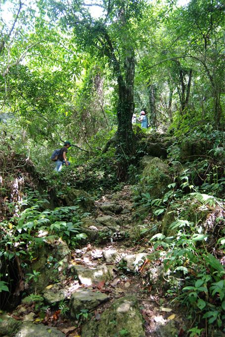 滿布大石頭的步道