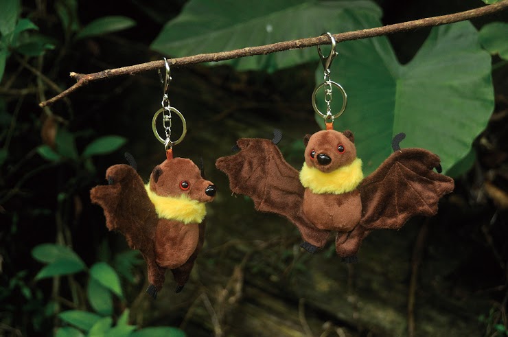 臺灣狐蝠鑰匙圈