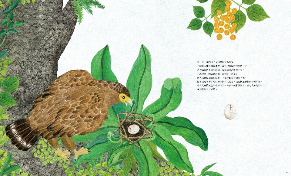 森林育樂科