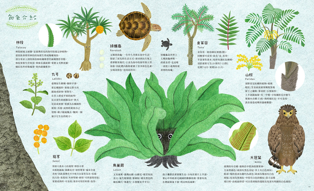 森林育樂科