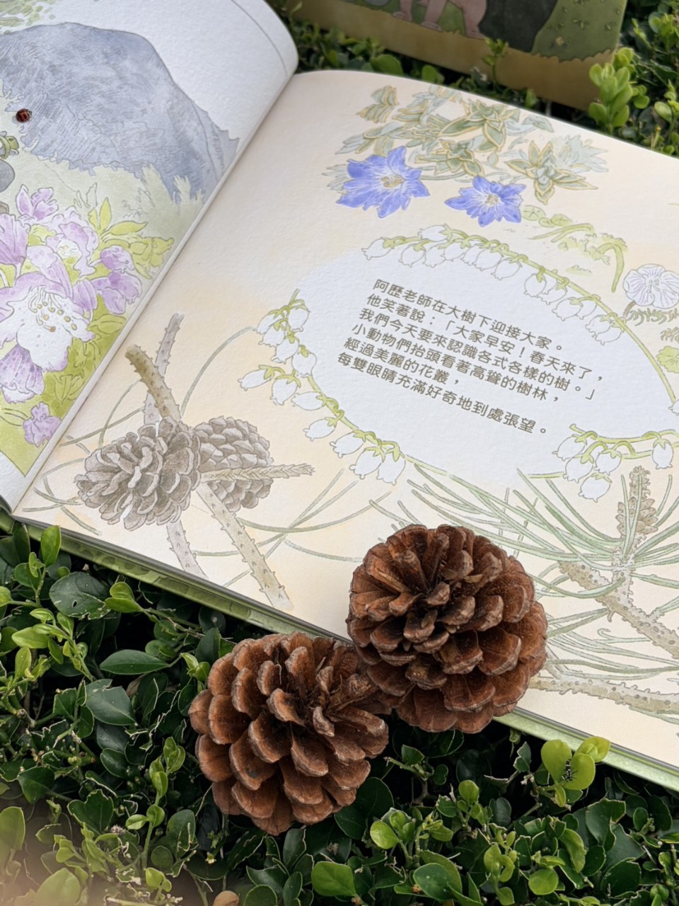 森林保衛戰