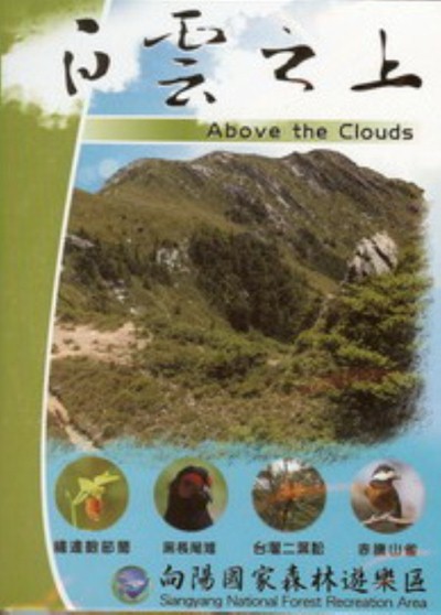 白雲之上-向陽國家森林遊樂區