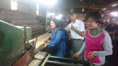 推廣國產材-臺東林管處辦理製材廠觀摩及木材加工課程