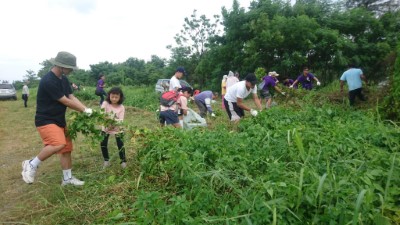 捍衛本土-移除外來種：青年志工在臺東保安林移除小花蔓澤蘭