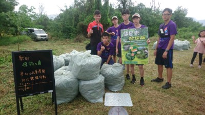 捍衛本土-移除外來種：青年志工在臺東保安林移除小花蔓澤蘭