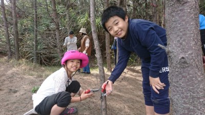 環島守護保安林 「光陽」協「歷」淨灘植樹一起來 孩子參與學習側枝修整