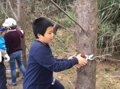 環島守護保安林 「光陽」協「歷」淨灘植樹一起來 孩童學習參與