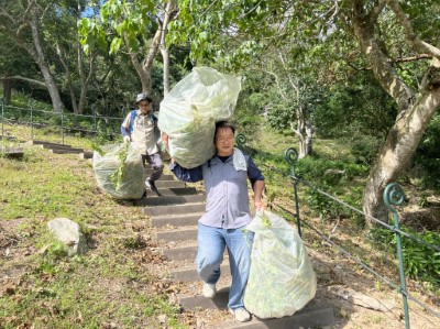 植物體裝袋後搬運至平坦處數點秤重