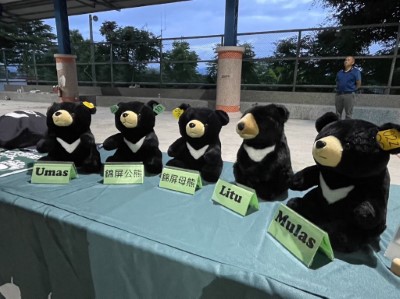 臺東林管處公私協力通報救傷臺灣黑熊