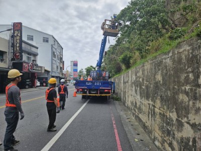 正氣北路邊坡樹木修枝