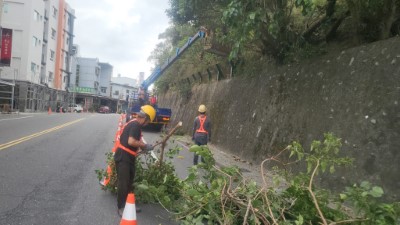 正氣北路邊坡修枝