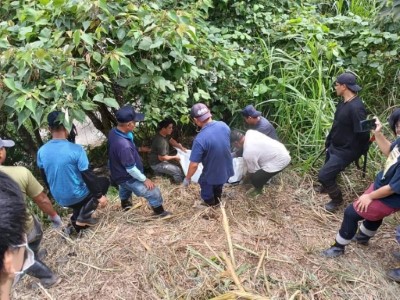 卑南鄉公所生態及環境調查維護隊員、達魯瑪克部落族人協助搬運黑熊遺體