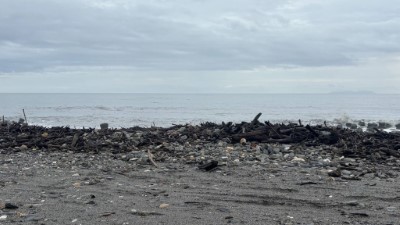 第2533號保安林(臺東市富岡南段)漂流木情形