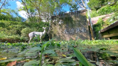 知本國家森林遊樂區景點照-森濤蹄影