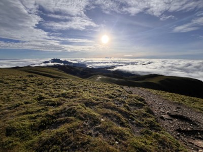 登高望遠迎新心(三叉山拍攝)