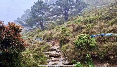 嘉明湖山屋旁步道滂沱大雨不停