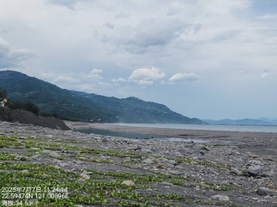 輕度薇帕颱風外圍環流影響發布豪雨特報 臺東地區原漂流木自由撿拾公告即刻失效