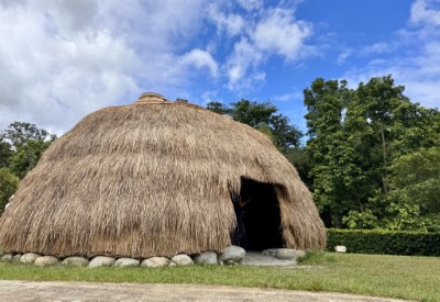 知本國家森林遊樂區於7月25日恢復開園