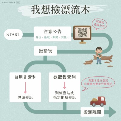 我想撿漂流木