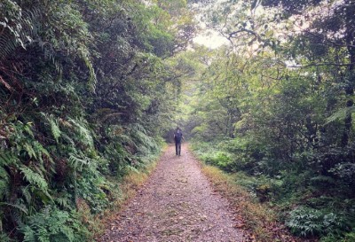 浸水營國家步道不僅是登山健行路線，更是一條綠色長廊