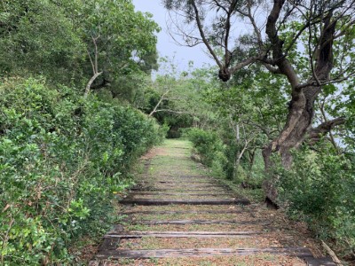 大武觀海步道享受熾熱陽光與徐徐海風