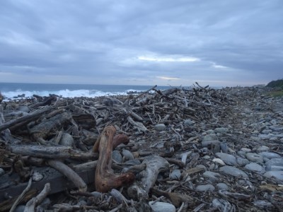 富岡南段保安林