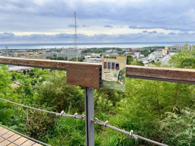 民眾可至鯉首觀景臺、背嶺觀景臺、鯉尾觀景臺、第一觀景臺及老樹休憩區五個點位完成掃描集章