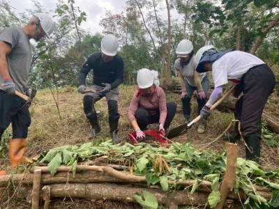 透過植生護坡能有效促進雨水入滲、改善土壤保水條件，讓植被得以生長